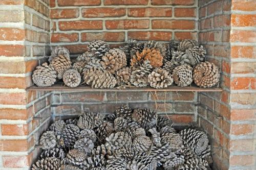 a pile of pine cones on a brick wall at Hotel Rural Monte Da Rosada in Estremoz