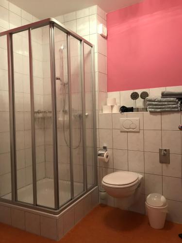 a bathroom with a shower and a toilet at Ferienwohnungen Perlina Karpat in Bernkastel-Kues