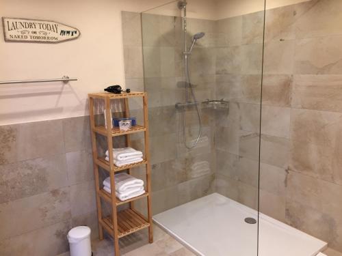 eine Dusche im Bad mit einer Duschkabine aus Glas in der Unterkunft Chiemsee Beachhouse Apartment in Bernau am Chiemsee