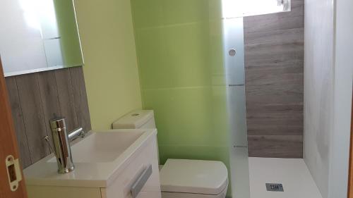uma casa de banho com um WC, um lavatório e um chuveiro em Acogedor apartamento en el barrio del Parlamento de Andalucía (Sevilla) em Sevilha