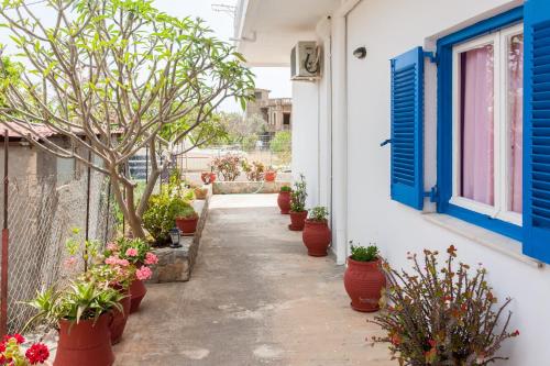 cortile con piante in vaso e finestra blu di Panorama Rooms a Agia Roumeli