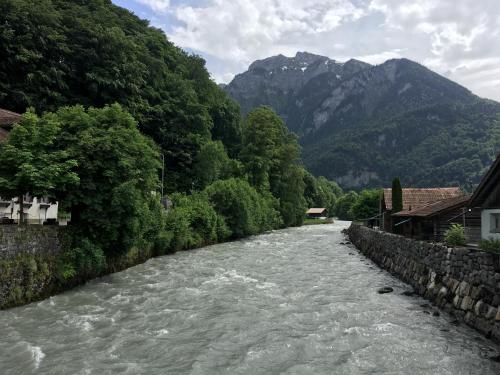 a river with trees and mountains in the background at Historic Hotel Steinbock in Wilderswil