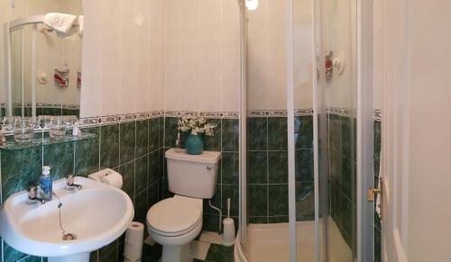 a bathroom with a toilet and a sink and a shower at Deerpark B&B in Portumna