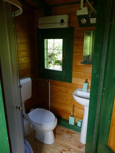 ein Bad mit einem WC und einem Waschbecken in der Unterkunft roulotte maisonthiers in Blanot