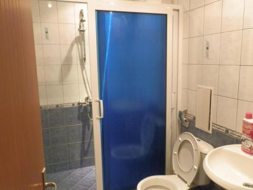een blauwe douchedeur in een badkamer met een toilet bij Cocoa Apartment in Varna
