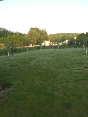 Κήπος έξω από το Agropensiunea Valea Fagilor