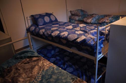a room with three bunk beds in a room at Hostel Belgrade Shungit Dragana Jeftića br 10 in Belgrade