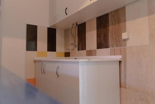 Fotografie z fotogalerie ubytování Hostel Belgrade Shungit Dragana Jeftića br 10 v Bělehradě