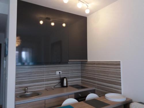 een badkamer met een wastafel en een spiegel bij Apolonia Lux Apartment in Budva