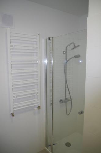 コウォブジェクにあるApartament Mewaのバスルーム(ガラスドア付きのシャワー付)