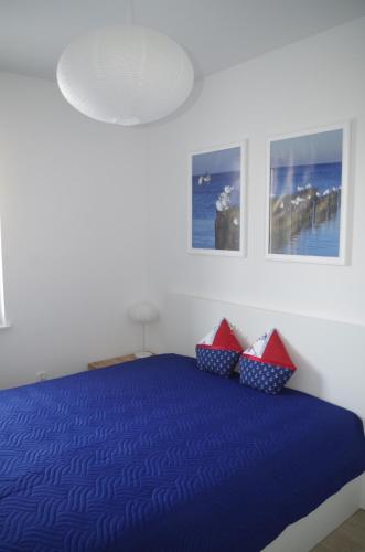 コウォブジェクにあるApartament Mewaのベッドルーム1室(青と赤の枕が付いた青のベッド1台付)