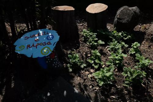 Zahrada ubytování Lemontree House Bacoli