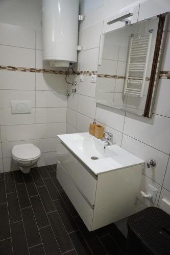 a bathroom with a white sink and a toilet at Apartma Irena Volče in Volzana