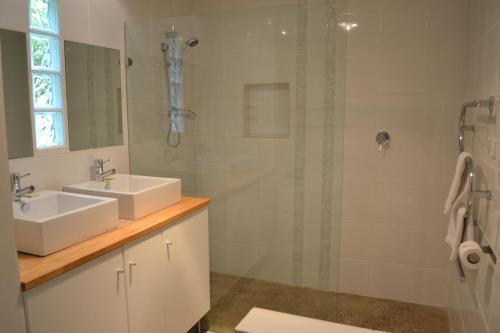 y baño con lavabo y ducha. en Tin House in Tanunda, en Tanunda
