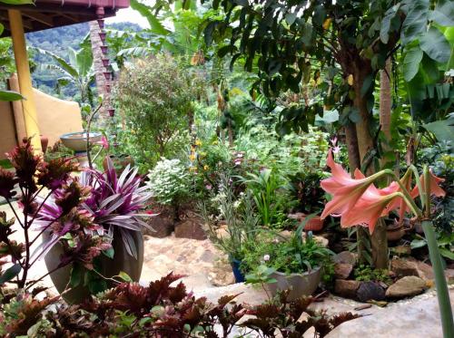 Κήπος έξω από το Natural Mystic Sanctuary