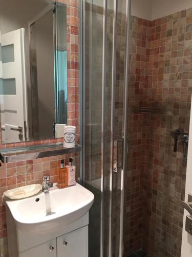 a bathroom with a sink and a shower at RESET ul. Ratibora 66 in Jurata