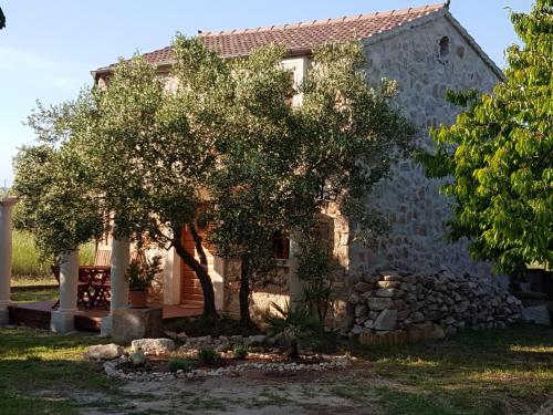 a stone house with a tree in front of it at Villa Flaveico in Pašman