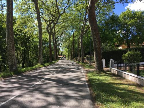 a tree lined road in a park with a fence at Résidence Mes Amours d'Enfants - Les Villas du Lac in Soustons