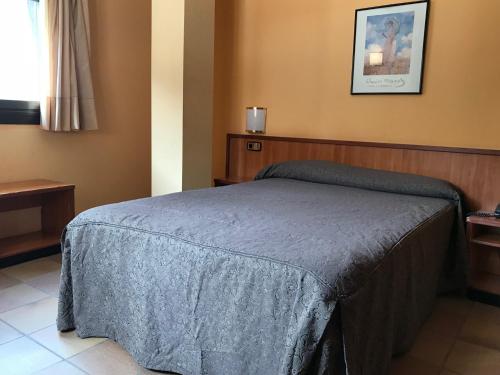 Säng eller sängar i ett rum på Hotel Refugi dels Isards