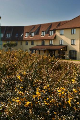 a field of yellow flowers in front of a building at The Peninsula Hotel in Vale