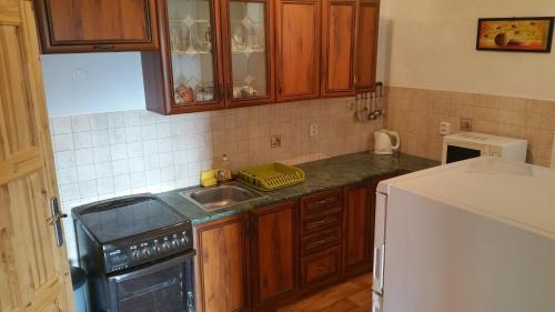 a kitchen with wooden cabinets and a sink at Penzion Filoun in Plavy