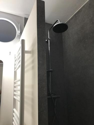 ル・グロー・デュ・ロワにあるLes cigales de la mer Place de la libérationの黒い壁のバスルーム(シャワー付)