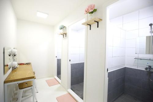 Vonios kambarys apgyvendinimo įstaigoje Zibro S
