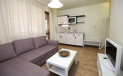 a living room with a couch and a table and a tv at Vila Rila Samokov in Samokov