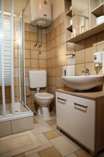 a bathroom with a toilet and a sink and a shower at Matea Apartments Milna in Milna