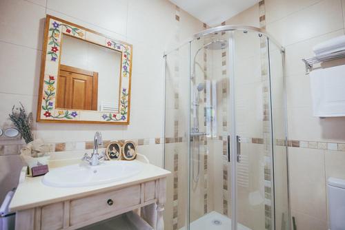 y baño con ducha, lavabo y espejo. en La Aldea Colorada Casa Rural, en Mota del Marqués