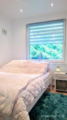 a bedroom with a bed and a large window at Blue Mare Apartamenty U Tomka in Łukęcin