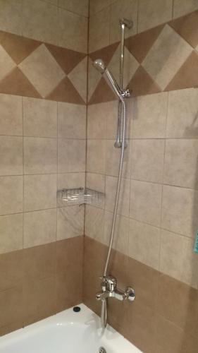 eine Dusche mit Glastür im Bad in der Unterkunft TES Royal Plaza Apartments in Borowez