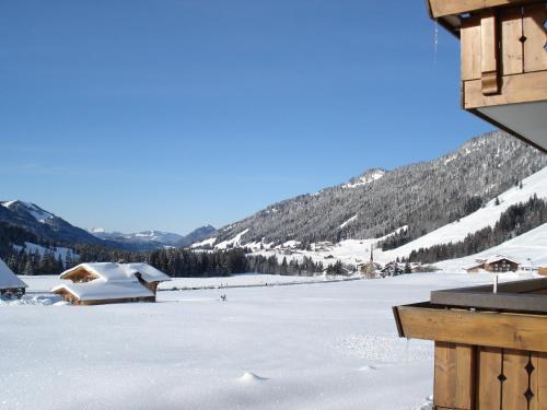 a snow covered field with a mountain in the background at Siplinger Suites - Ferienwohnungen - Sauna und Fitness in Balderschwang
