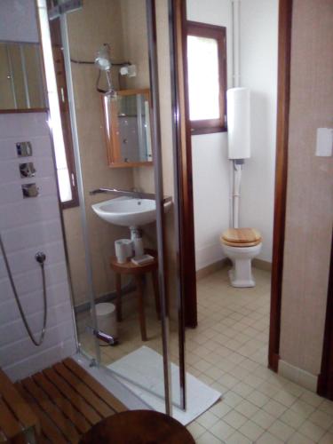 a bathroom with a shower and a sink and a toilet at Villa Des Marronniers in Mirande