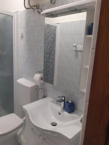 łazienka z białą umywalką i toaletą w obiekcie Apartment Nada w mieście Opatija
