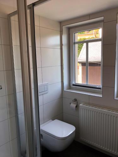 La salle de bains est pourvue de toilettes et d'une fenêtre. dans l'établissement Adlerhorst, à Königstein