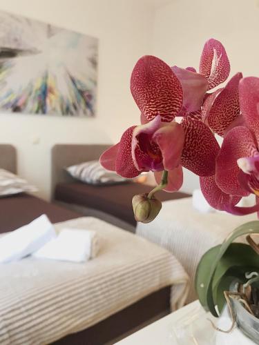 Guesthouse Villa Cvita & Slavko