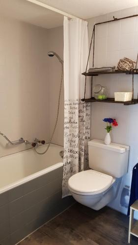 een badkamer met een toilet en een bad met een douchegordijn bij "Sous les Barres" in Montfaucon