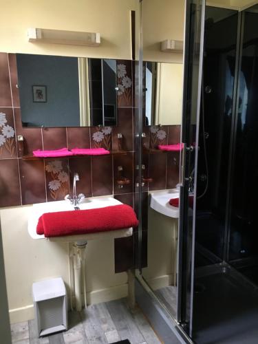 a bathroom with a red sink and a shower at Hotel bar b'rock in Saint-Martin-sous-Vigouroux