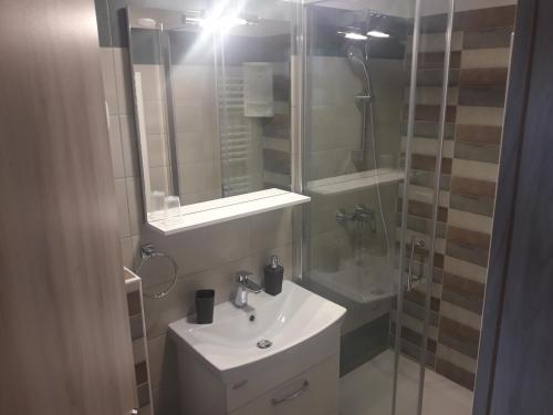 y baño con lavabo y ducha. en Apartments Ogrin, en Portorož