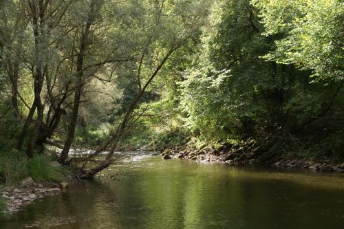 a river in a wooded area with trees and water at Chambre d'hôtes Le Cascadou in Banassac