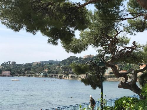 a man standing next to a lake with a tree at Les Jasmins in Beaulieu-sur-Mer