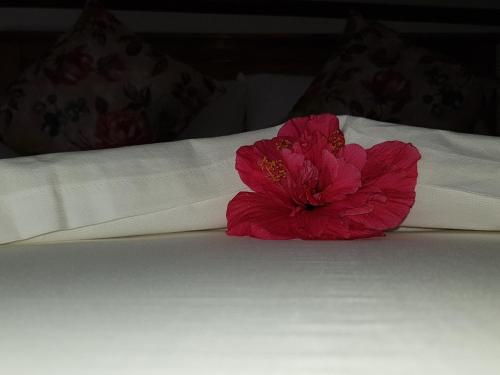 Letto o letti in una camera di Island Bungalow
