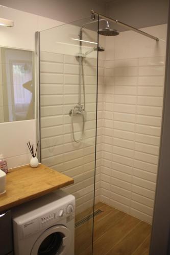 a shower with a washing machine in a bathroom at Centrum in Szczecin