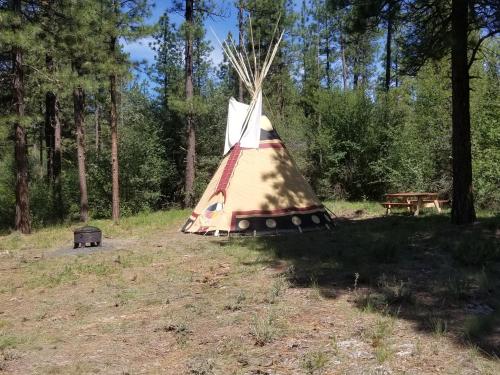 a teepee in the middle of a field with trees at Heartline Ranch, LLC in Chiloquin