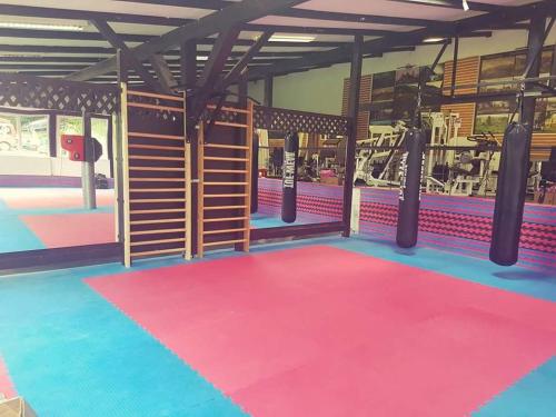 a gym with a pink and blue carpet and a gym with a gym at Complex Turistic Gura Jgheabului in Oţelu Roşu