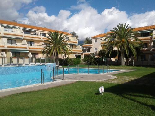 a swimming pool in front of a building with palm trees at il GABBIANO in Los Cancajos