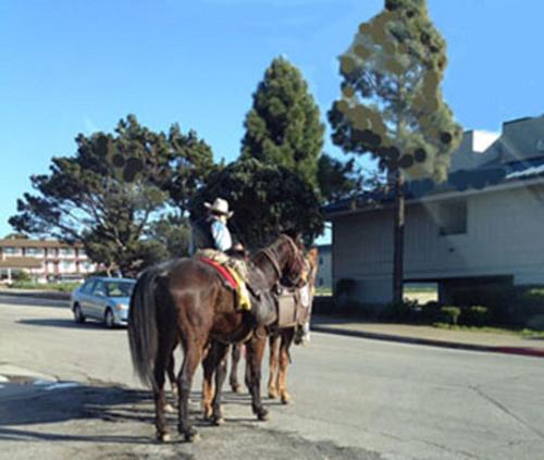 a man riding on the back of two horses on a street at Bayfront Inn in Morro Bay
