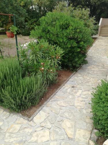 Gallery image of Apartments Barbara in Pinezici