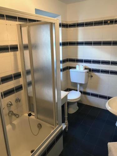 a bathroom with a shower and a toilet and a sink at Hameau De Jadis in Pré-Saint-Didier